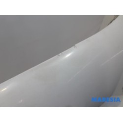 Renault - Kangoo - Kotflügel links vorne