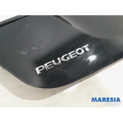 Peugeot - 207 - Hayon