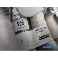 Renault - Kadjar - Airbag hemel links