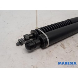 Peugeot - 307 - Set of tailgate gas struts