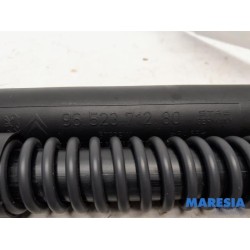Peugeot - 307 - Set of tailgate gas struts