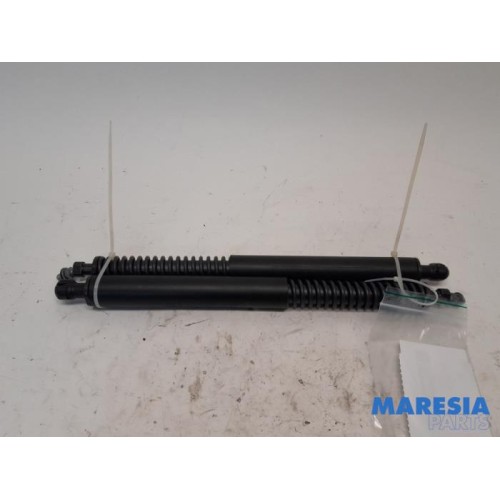 Peugeot - 307 - Set of tailgate gas struts