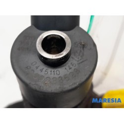 Renault - Megane Scenic - Injector (diesel)