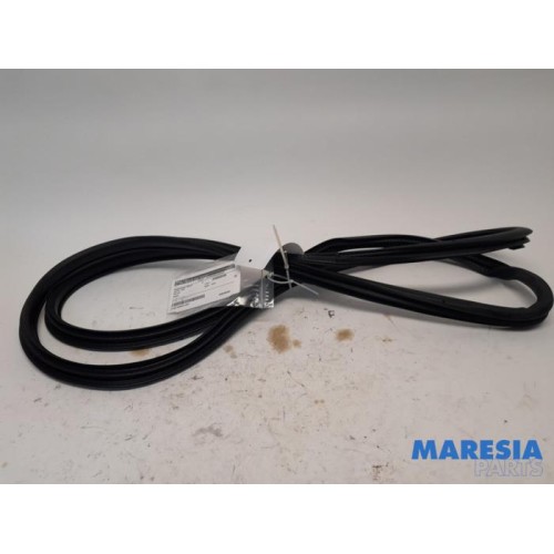 Renault - Kadjar - Front door seal 4-door, right