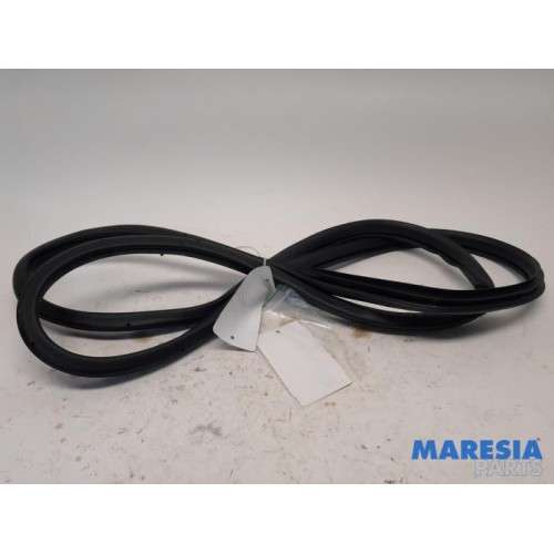 Renault - Kadjar - Rear door seal 4-door, right