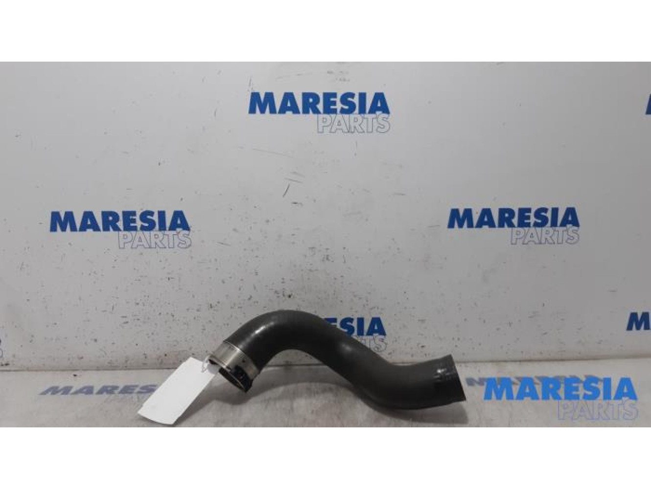 Renault - Trafic - Intercooler hose