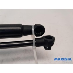 Fiat - Panda - Set of tailgate gas struts
