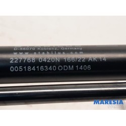 Fiat - Panda - Set of tailgate gas struts