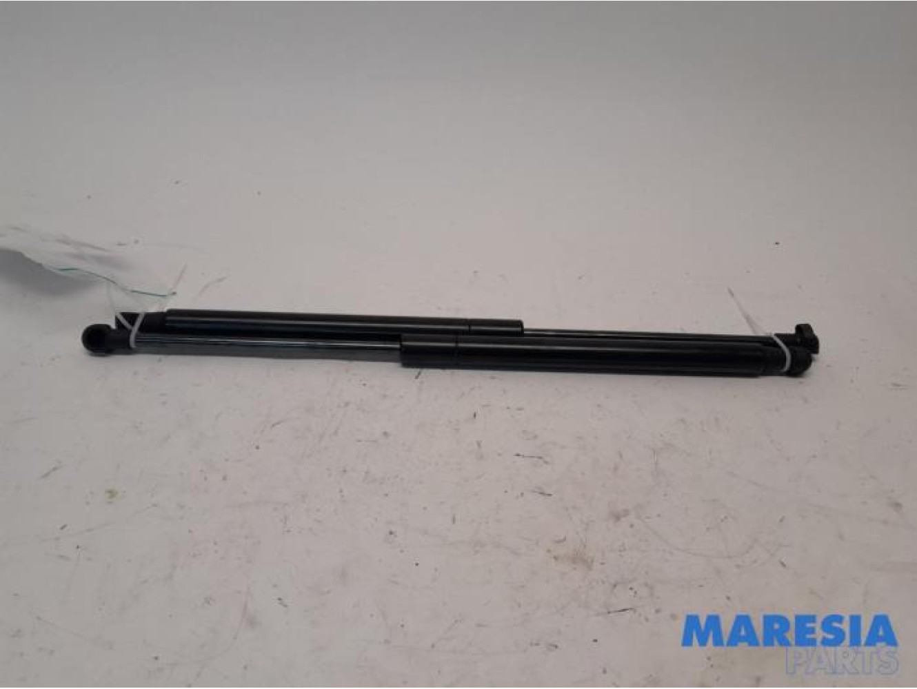 Fiat - Panda - Set of tailgate gas struts