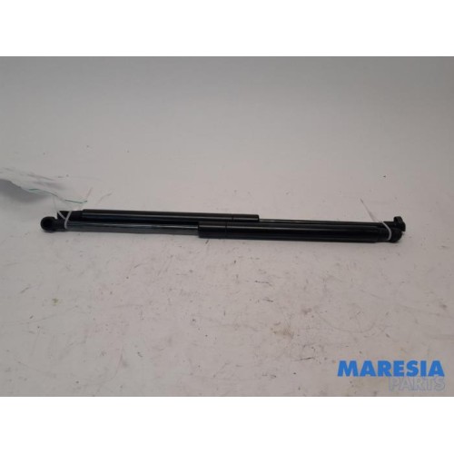 Fiat - Panda - Set of tailgate gas struts