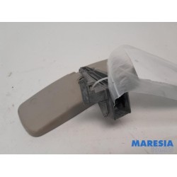 Renault - Megane - Rear view mirror