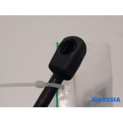 Renault - Megane - Gasdemper Motorkap links