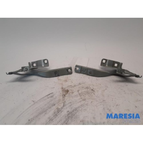 Renault - Kadjar - Bonnet Hinge