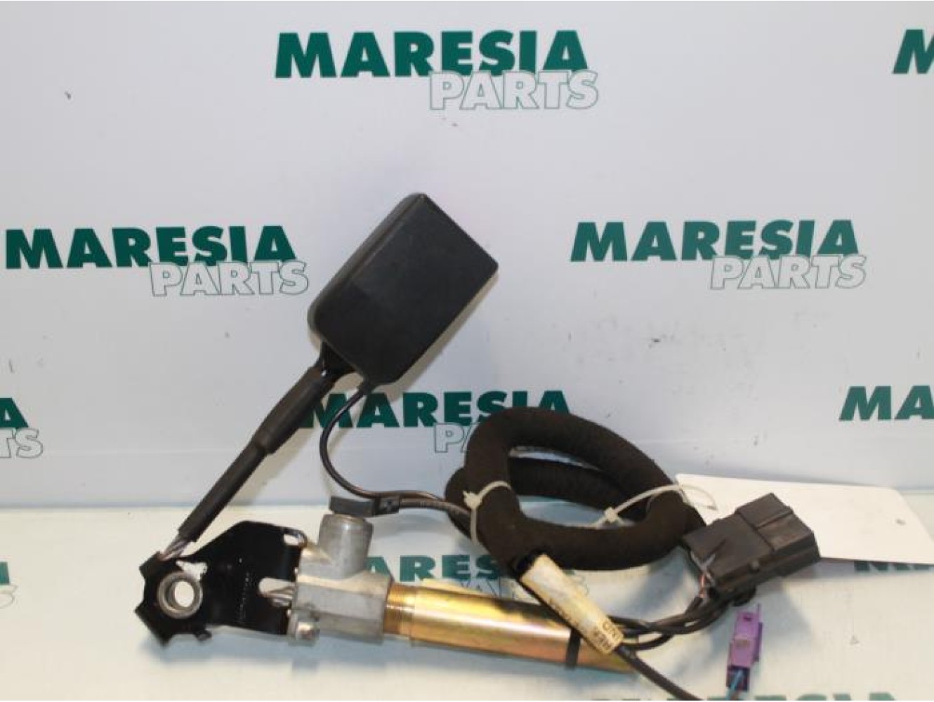 Renault - Megane Scenic - Gordelspanner links