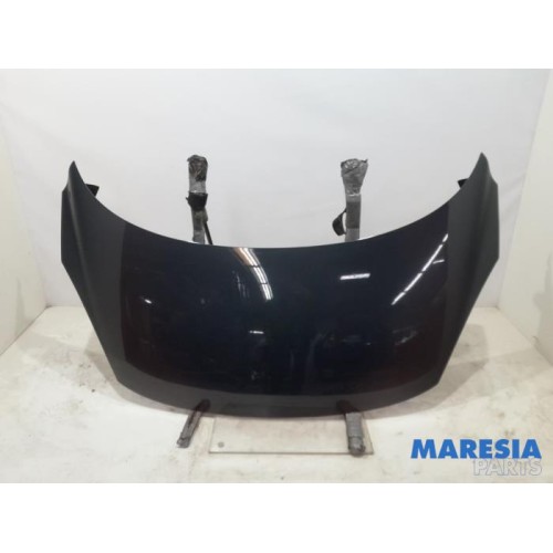 Renault - Scenic - Bonnet