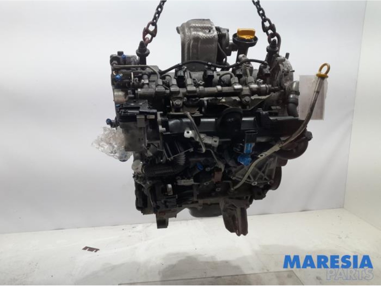 Fiat - Punto - Motor