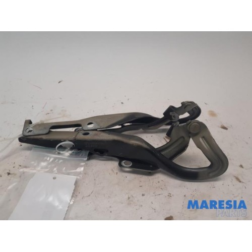 Peugeot - 207 - Bonnet Hinge