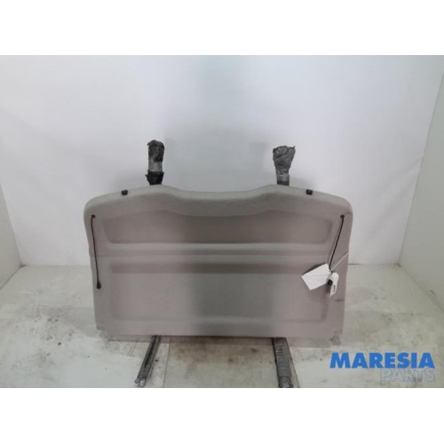 Renault - Scenic - Hoedenplank