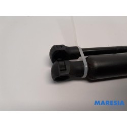 Renault - Grand Scenic - Set of tailgate gas struts