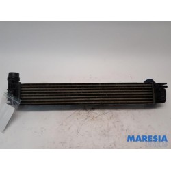 Renault - Megane - Intercooler