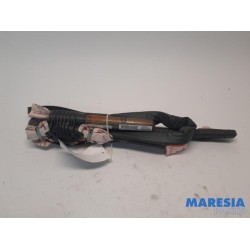 Fiat - Punto - Airbag plafond