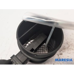 Fiat - Punto - Airflow meter