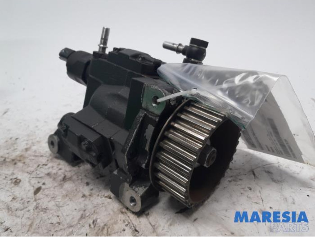 Renault - Scenic - Kraftstoffpumpe Mechanisch