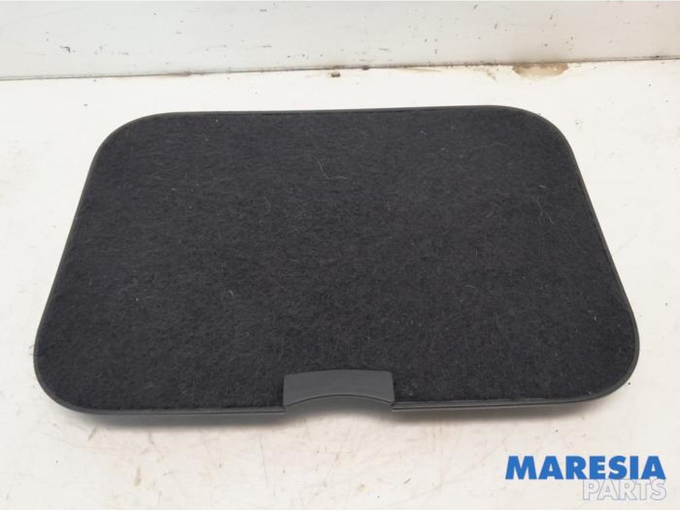 Renault - Scenic - Carpet