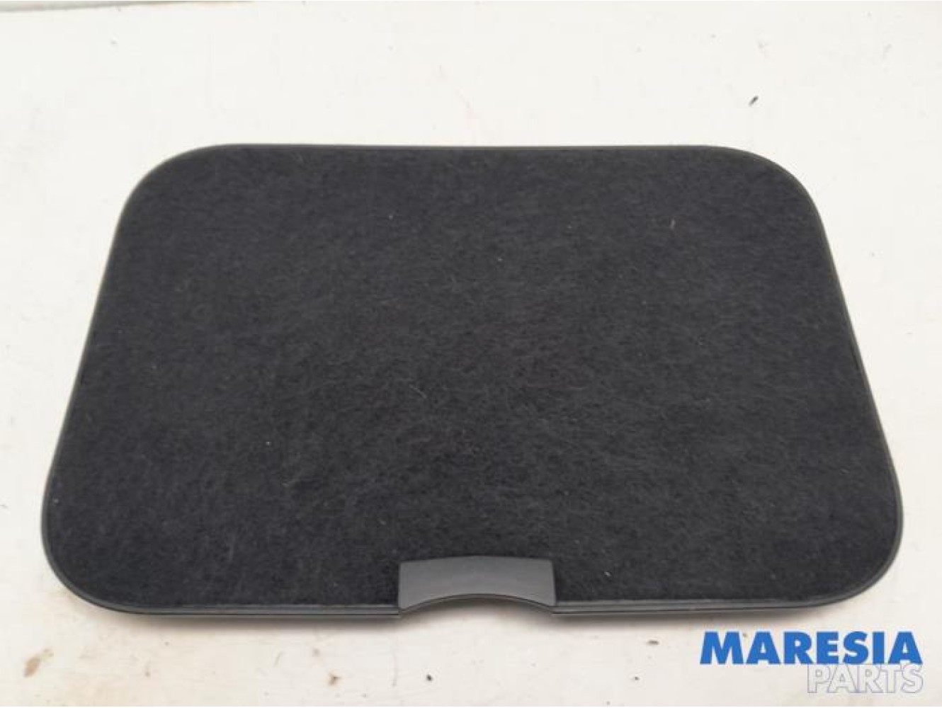 Renault - Scenic - Carpet