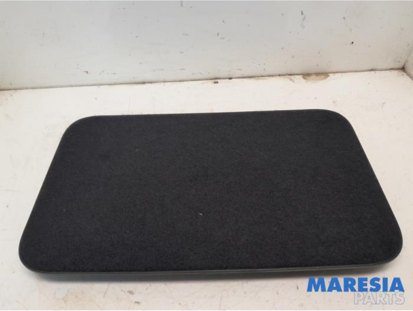 Renault - Scenic - Carpet