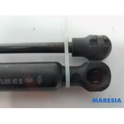 Renault - ZOE - Set of bonnet gas struts