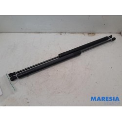 Renault - Scenic - Set of tailgate gas struts