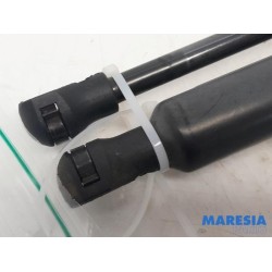 Renault - Scenic - Set of tailgate gas struts
