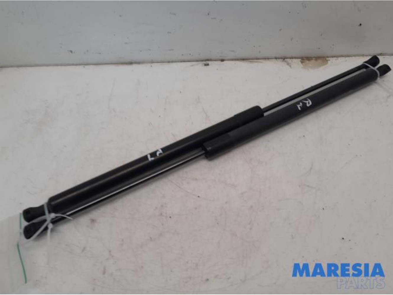 Renault - Scenic - Set of tailgate gas struts