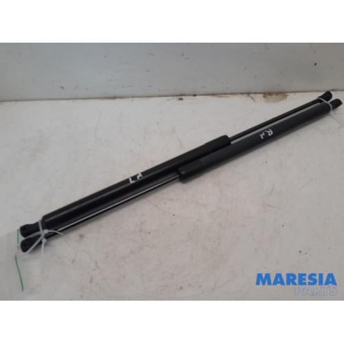 Renault - Scenic - Set of tailgate gas struts