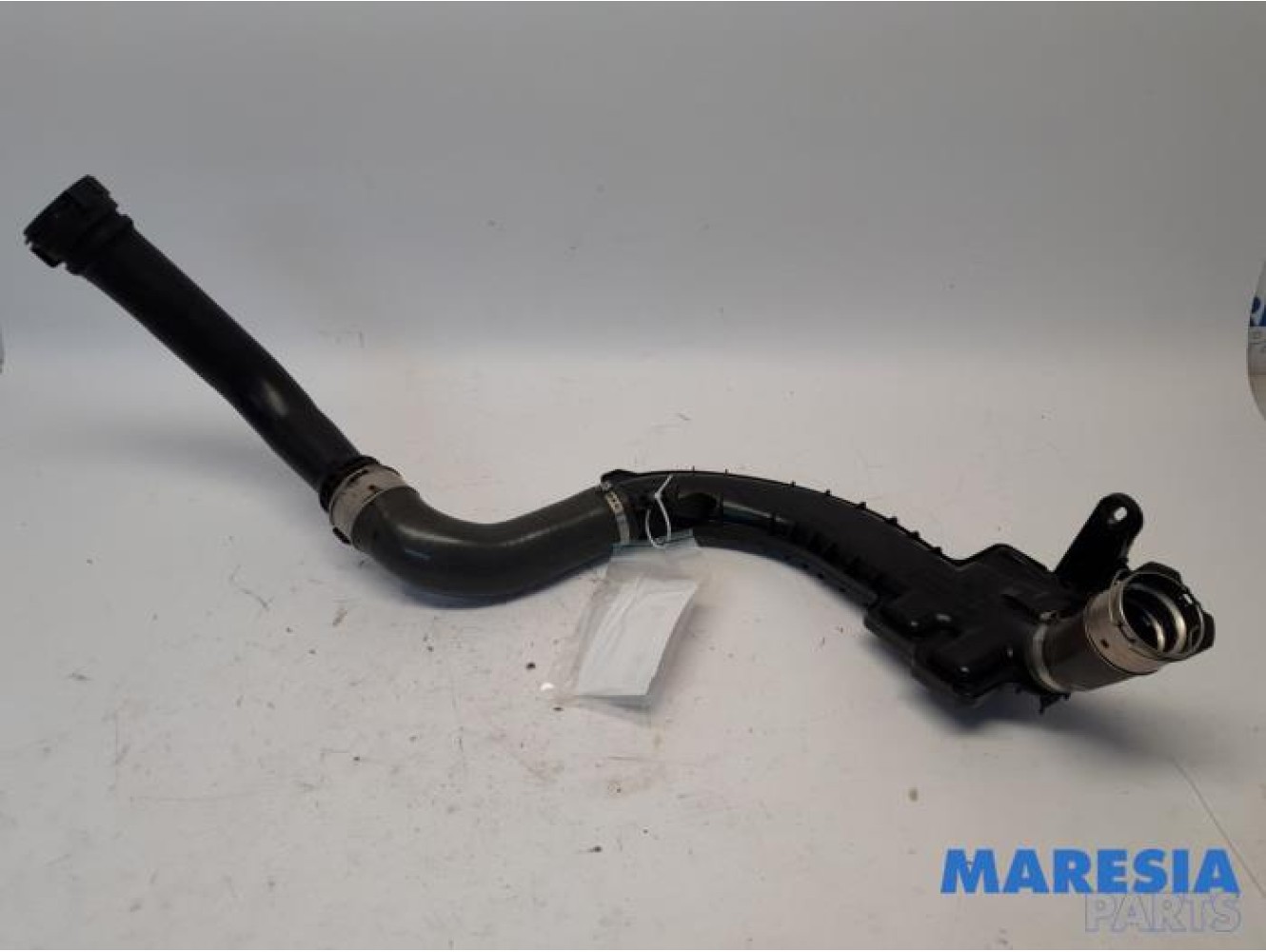 Renault - Scenic - Turbo hose