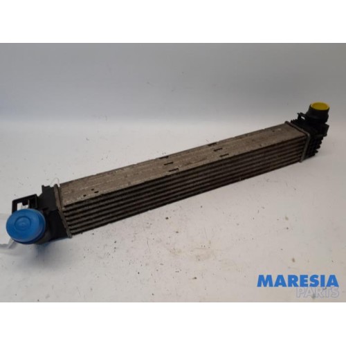 Renault - Scenic - Intercooler