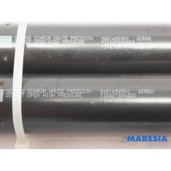 Citroen - Berlingo - Set of tailgate gas struts