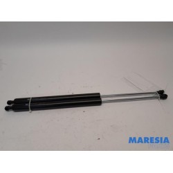 Citroen - Berlingo - Set of tailgate gas struts