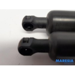 Citroen - Berlingo - Set of tailgate gas struts