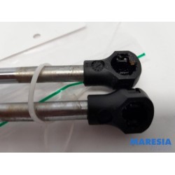 Citroen - Berlingo - Set Gasdempers Achterklep