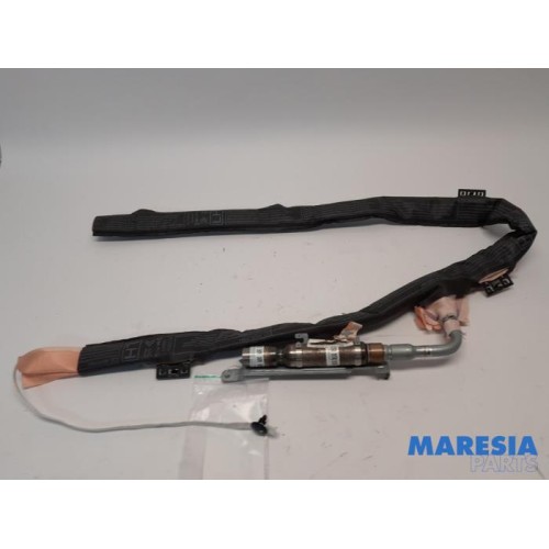 Citroen - Berlingo - Roof curtain airbag, left