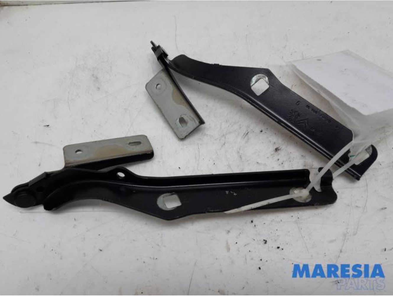 Citroen - Berlingo - Bonnet Hinge
