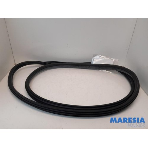Peugeot - 3008 - Portierrubber 4Deurs links-achter
