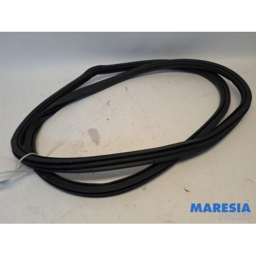 Citroen - Grand C4 Space Tourer - Front door seal 4-door, right