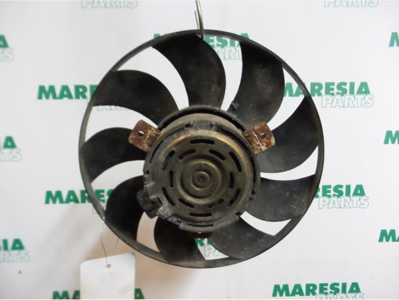 Fiat - Doblo - Fan motor