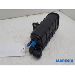 Renault - Clio - Carbon filter
