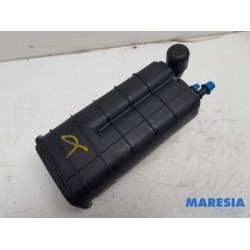 Renault - Clio - Carbon filter