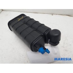 Renault - Clio - Carbon filter