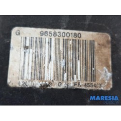 Peugeot - 307 - Bremszange links vorne